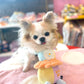 ☆ピエロ TOY☆