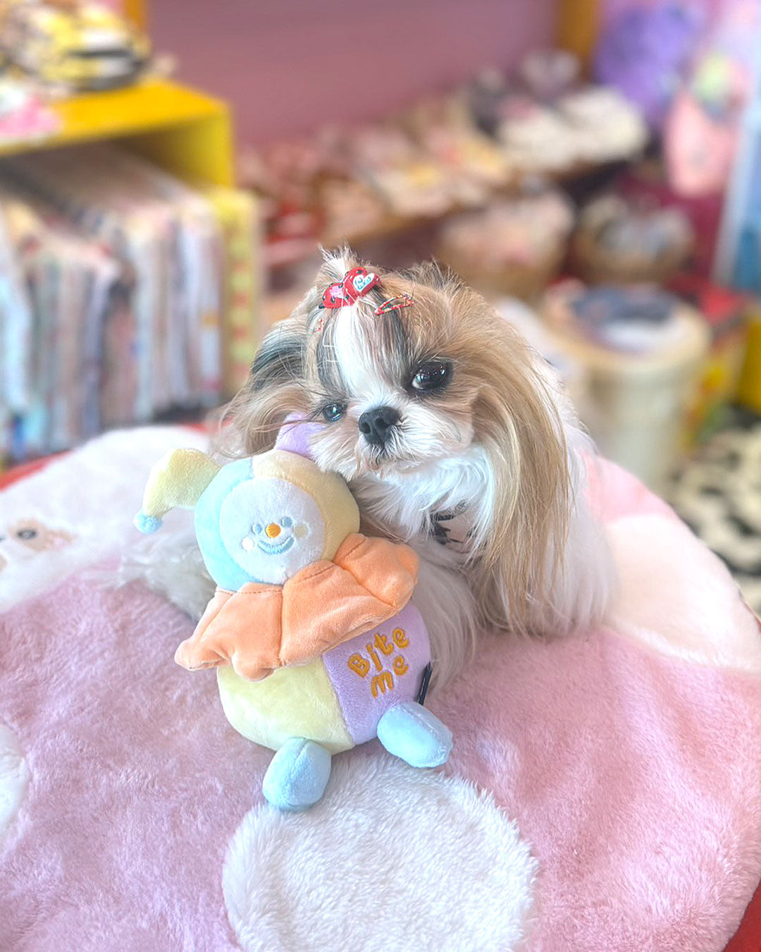 ☆ピエロ TOY☆