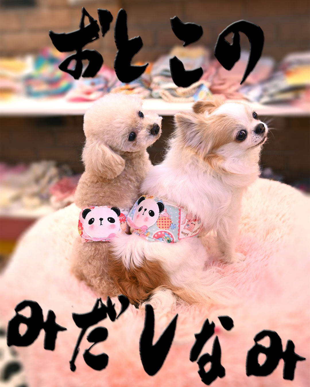 ☆アニマル マナーパンツ☆