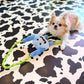 ☆Rope Toy☆