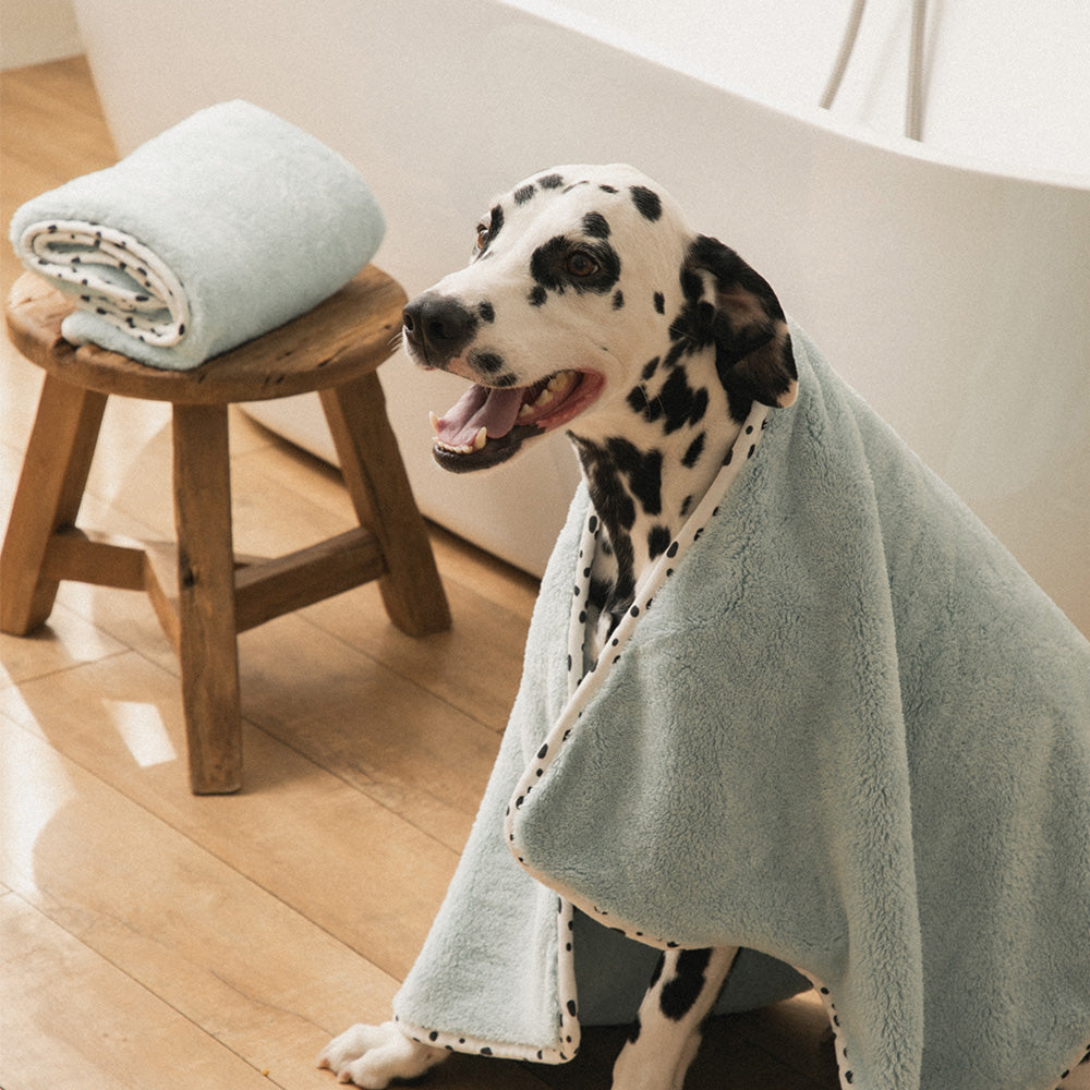 ☆ドライミーペットタオル☆ – J&Kanimals