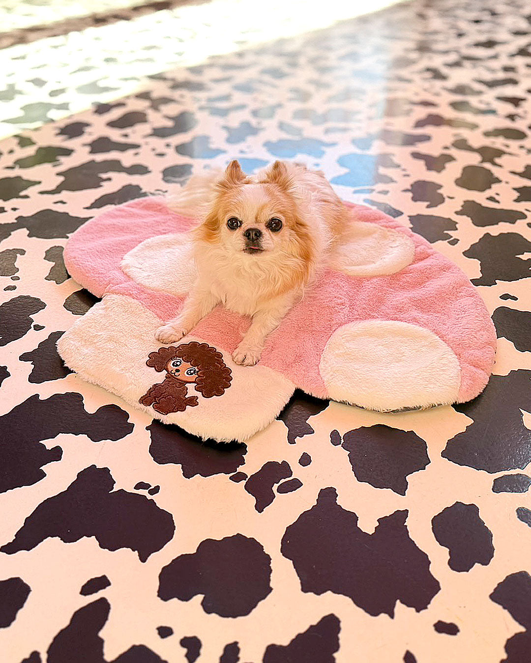 ☆きのこ マット☆