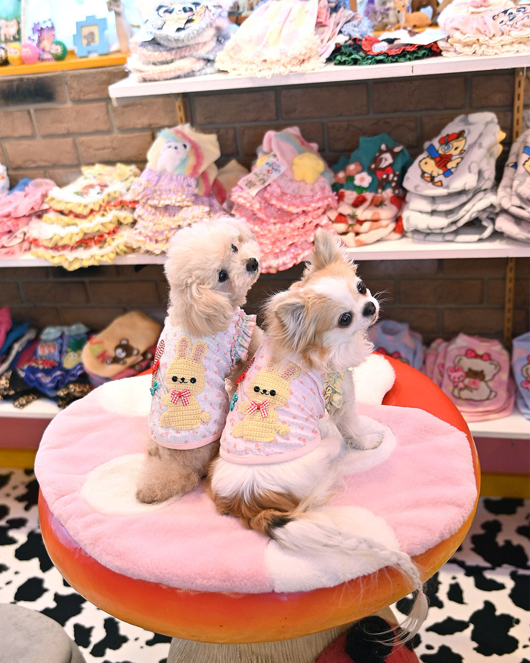 予約受付中☆小花うさぎTシャツ☆