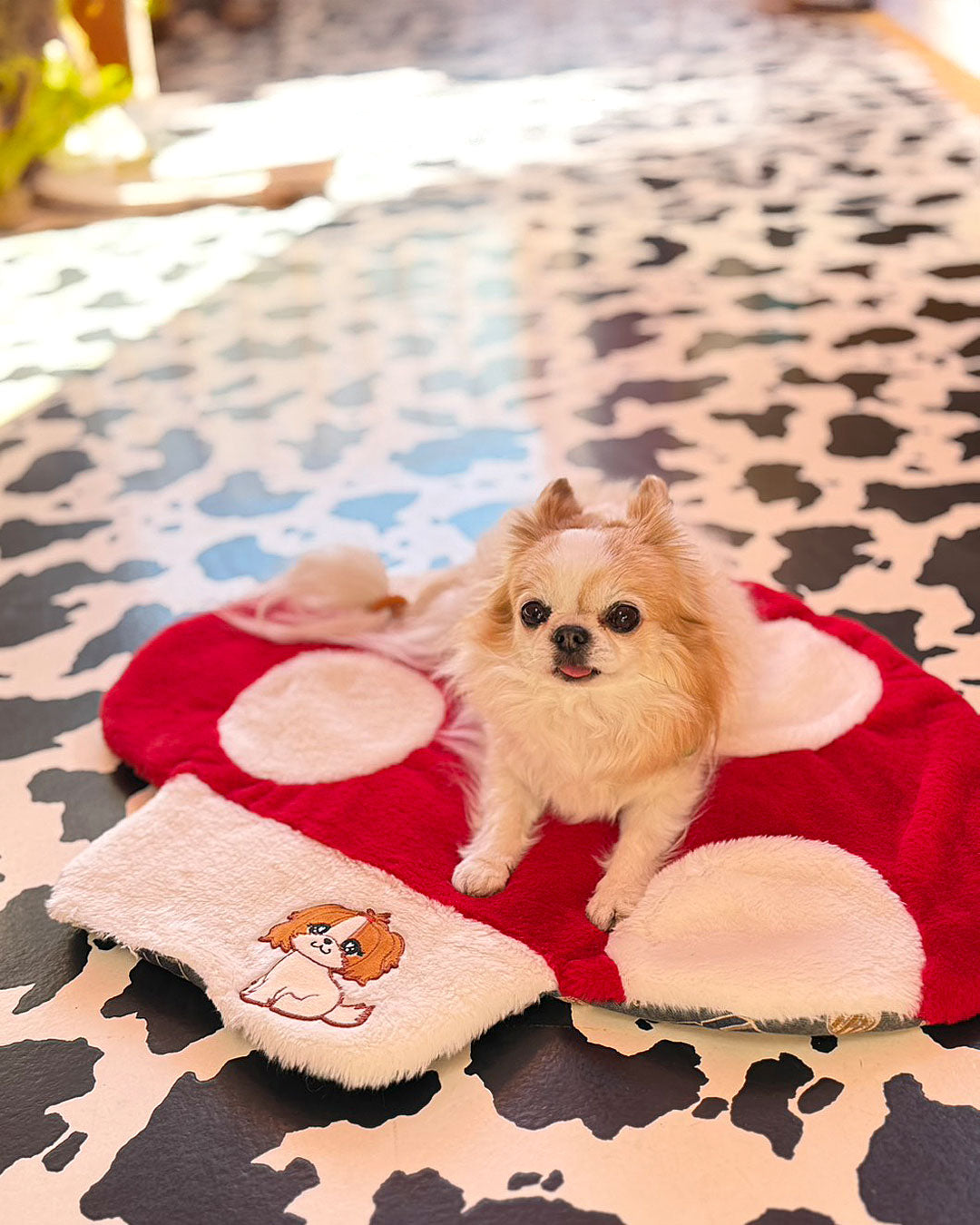 ☆きのこ マット☆ – J&Kanimals