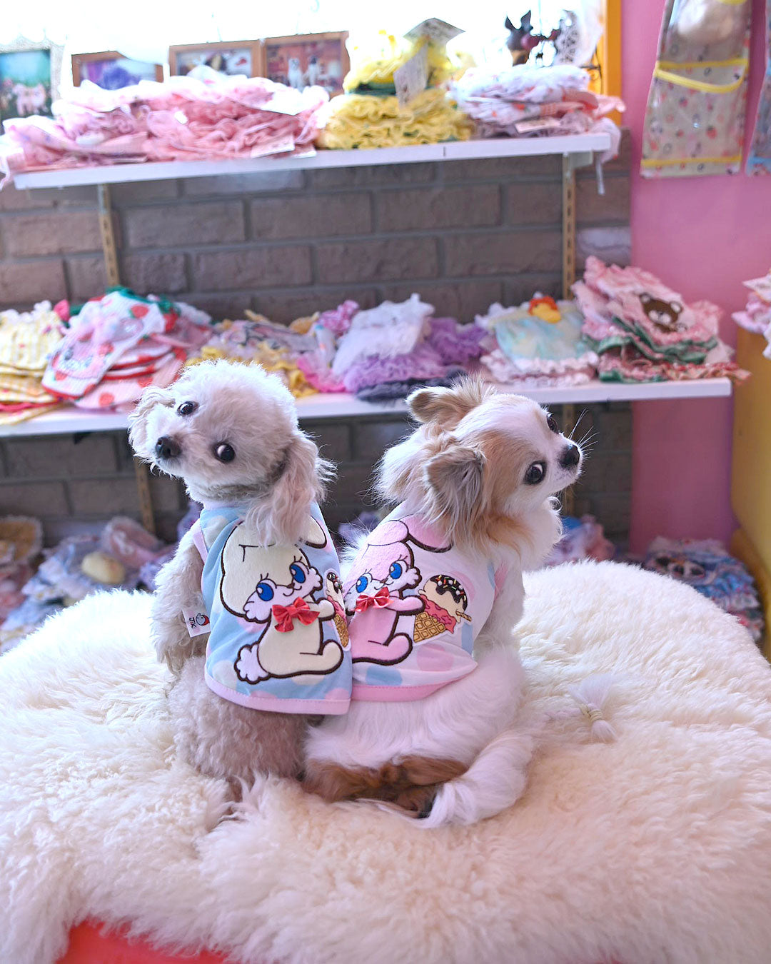 予約受付中☆アイスうさぎTシャツ☆