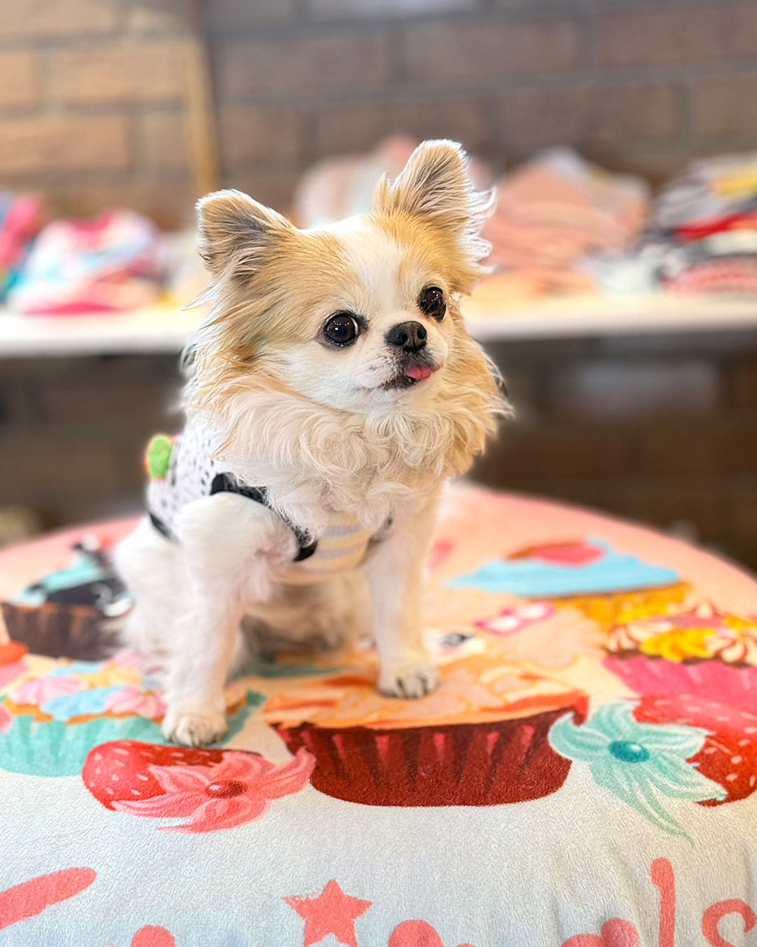 ☆おとぼけくまTシャツ☆