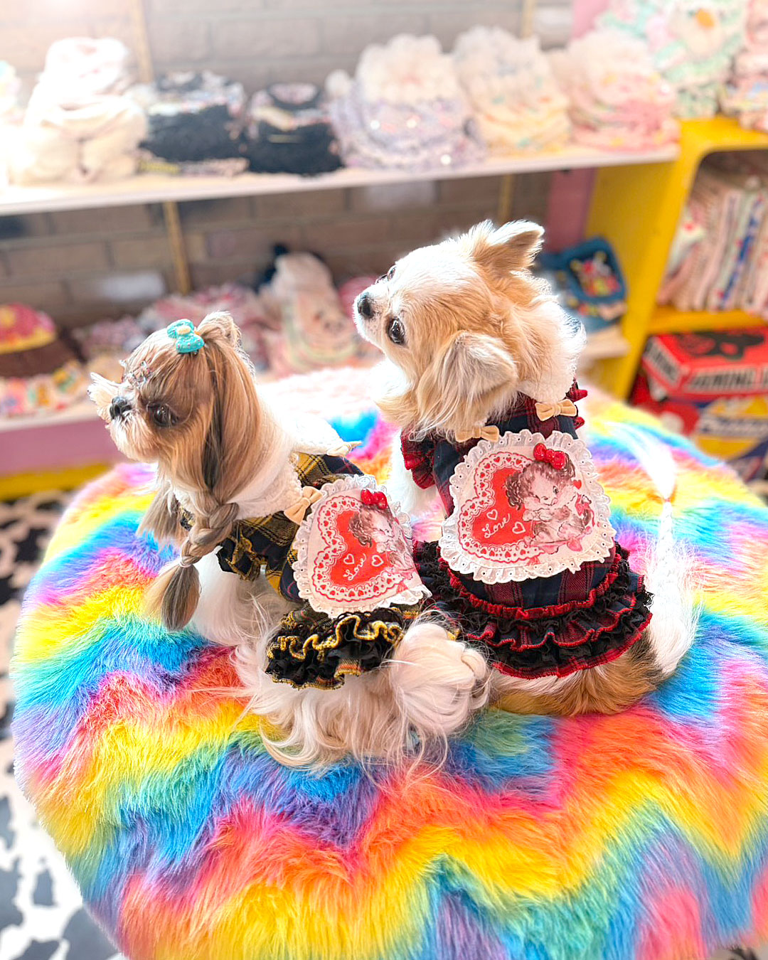 Now accepting preorders ☆Flower Heart Dress☆