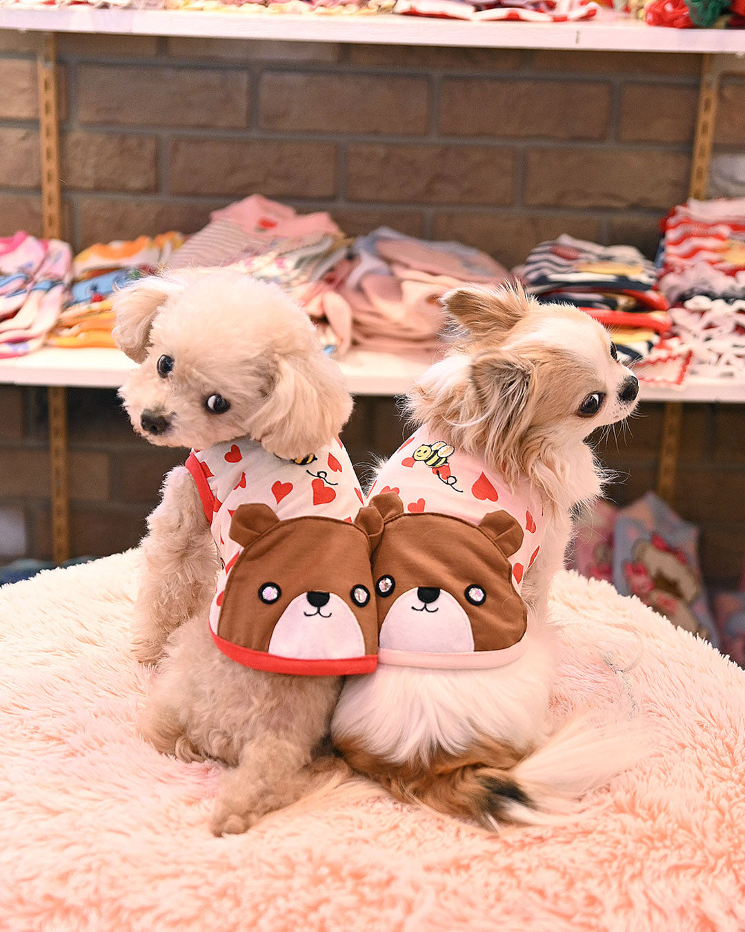 ☆くまTシャツ☆ – J&Kanimals