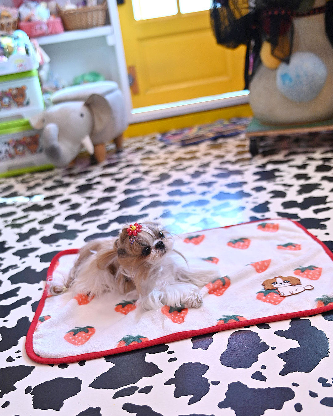 ☆ブランケット☆ – J&Kanimals