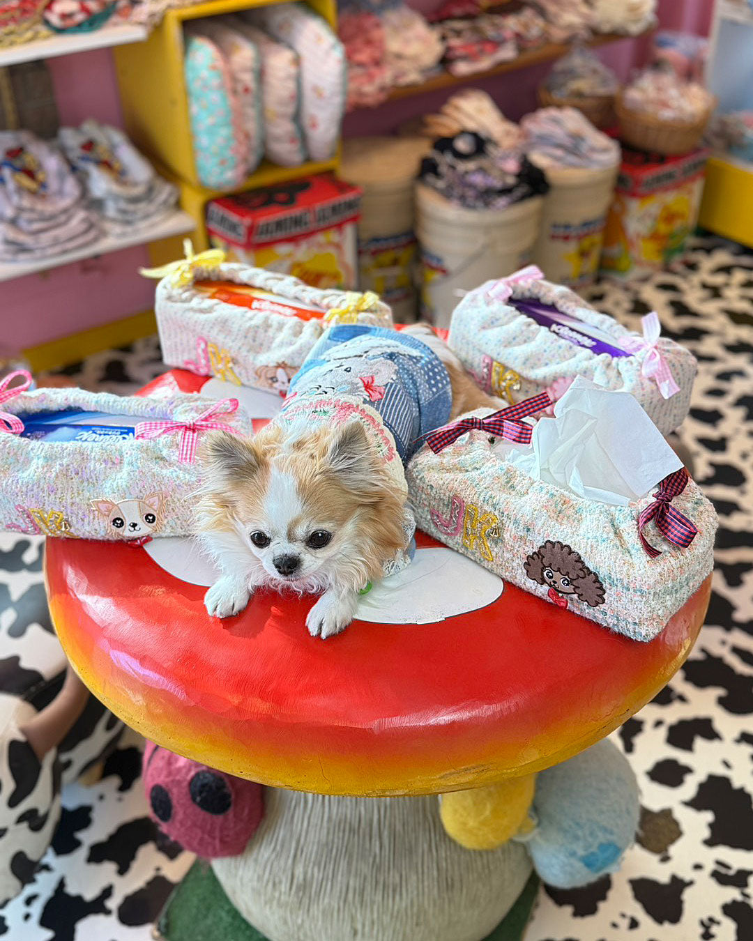 ★オリジナルティッシュ Box巾着★