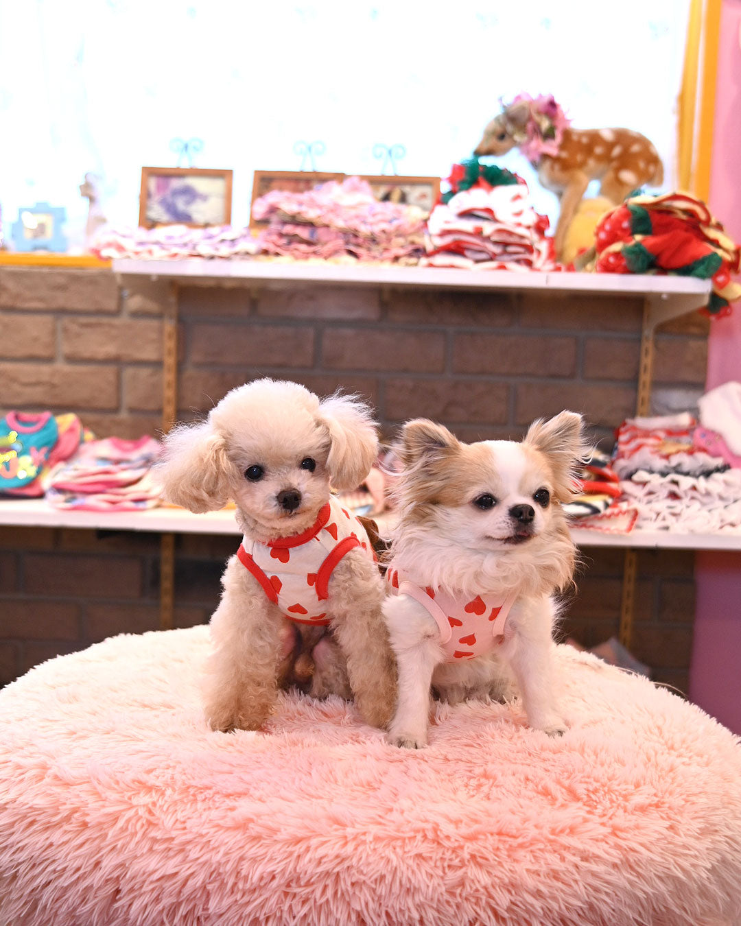 Now accepting preorders ☆Flower Heart Dress☆