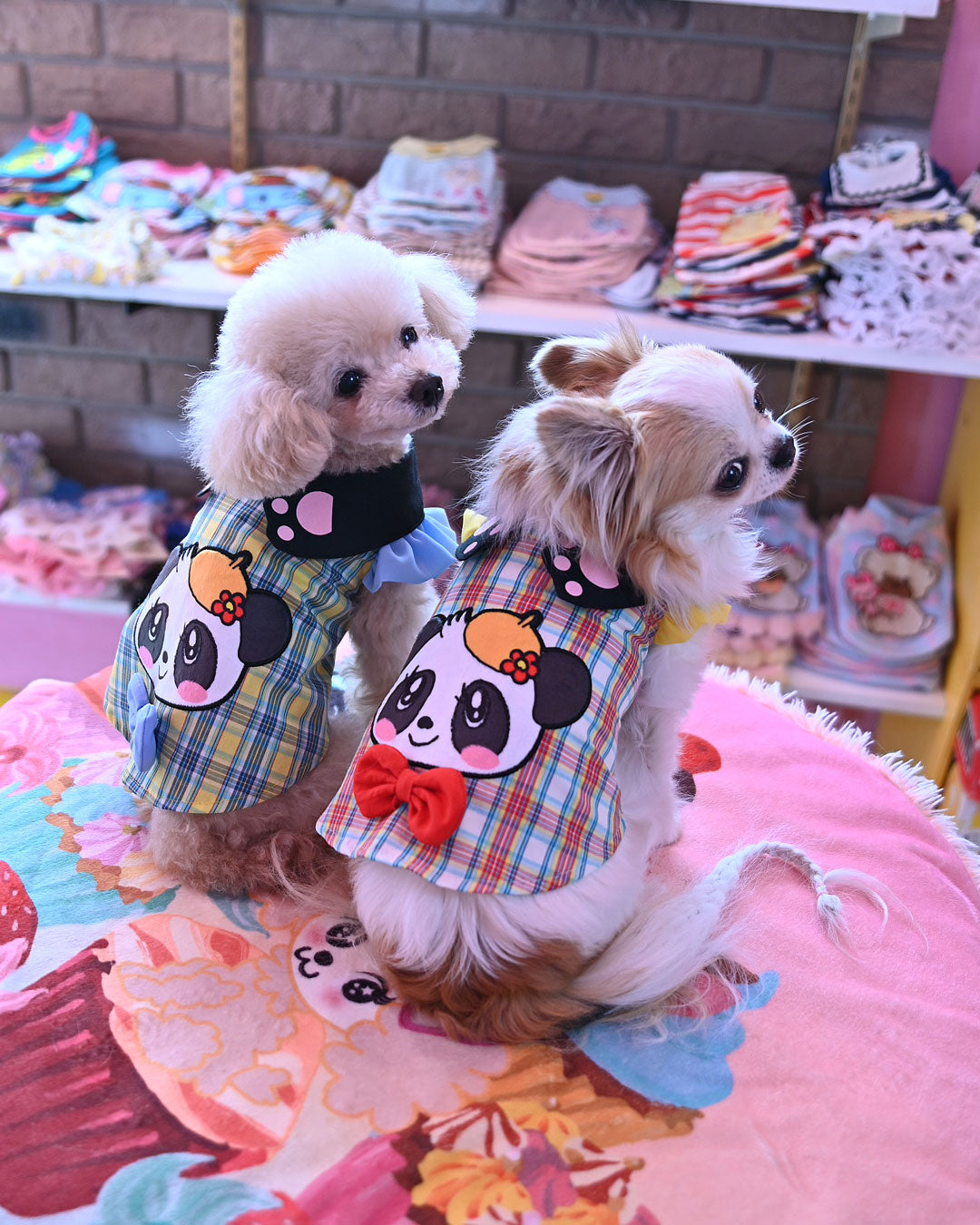 予約受付中☆ベレーちゃんシャツ☆