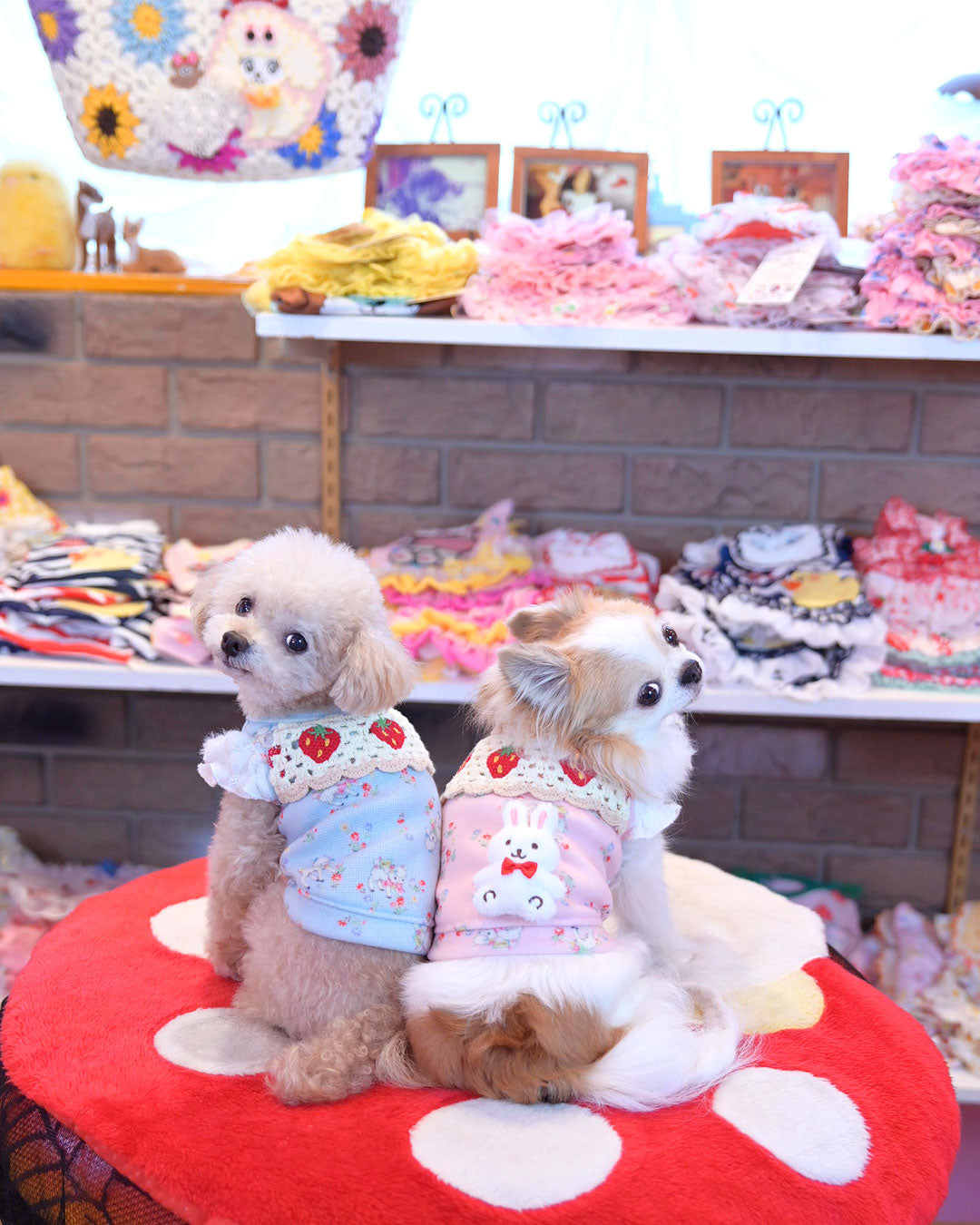 Now accepting preorders ☆Flower Heart Dress☆