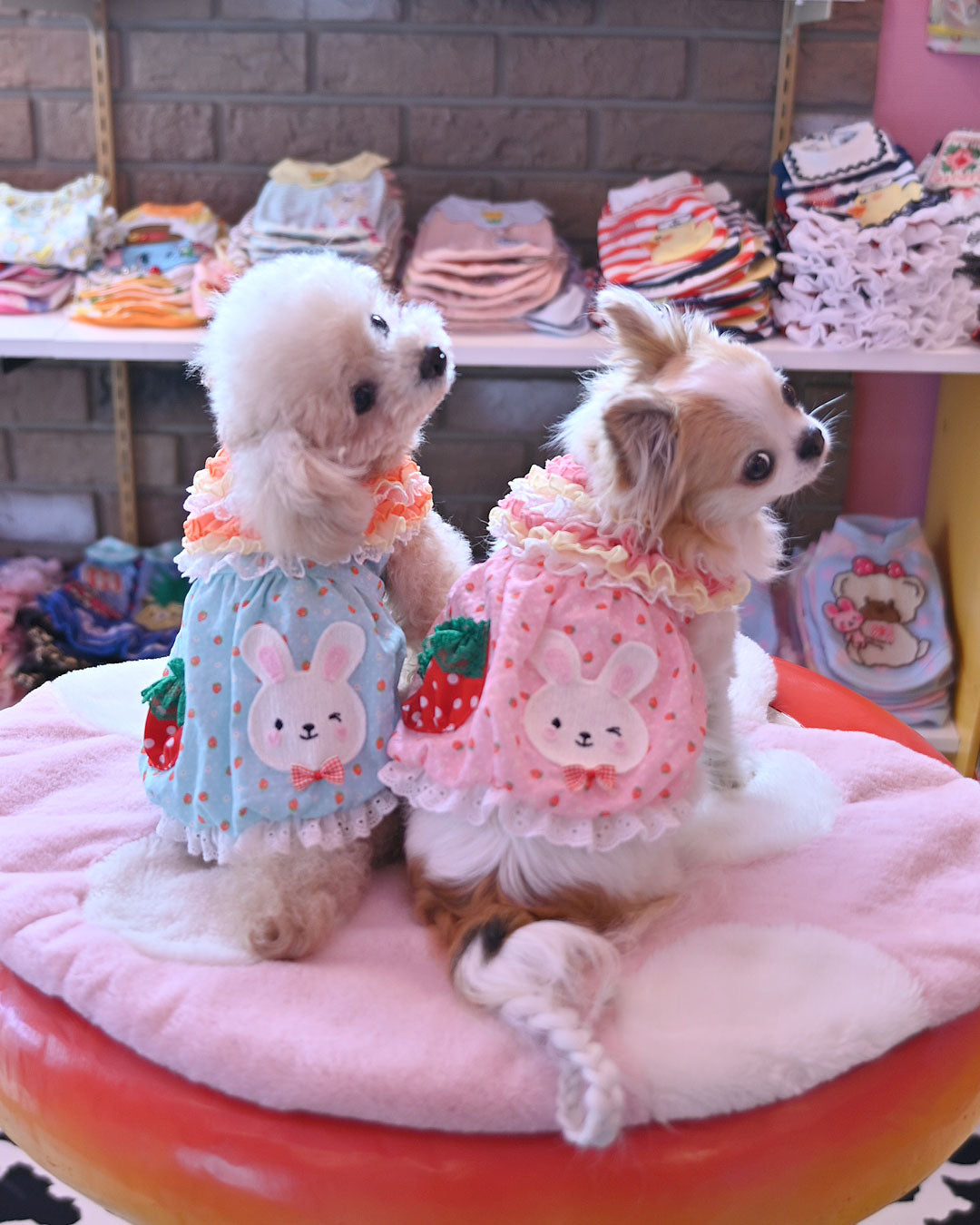 Now accepting preorders ☆Flower Heart Dress☆