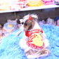 予約受付中☆マリンワンピース☆