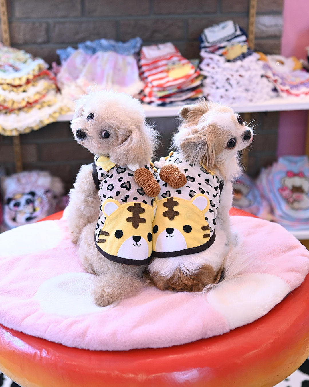 予約受付中☆TORA Tシャツ☆