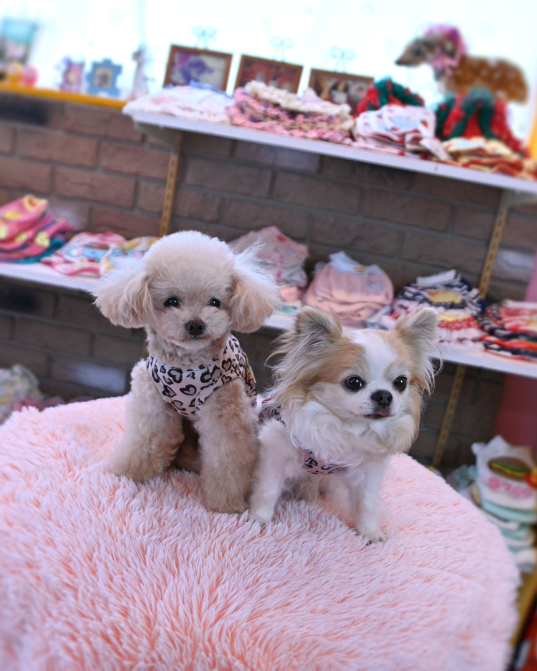 予約受付中 ☆スマイル モンキーTシャツ☆