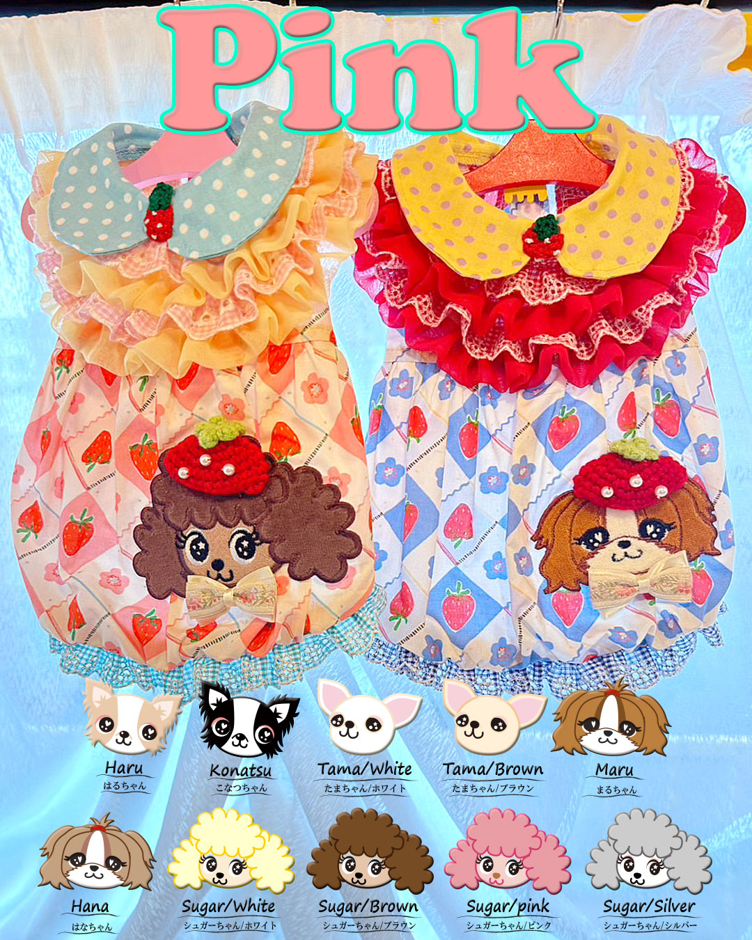 Pre-order Now!!