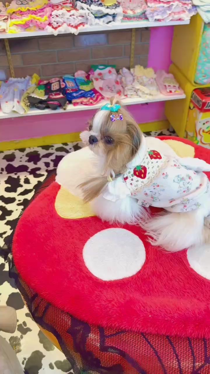 うさこ ネコポス可】 うさこ ぬいバッジ|【ぬいぐるみのセキグチ