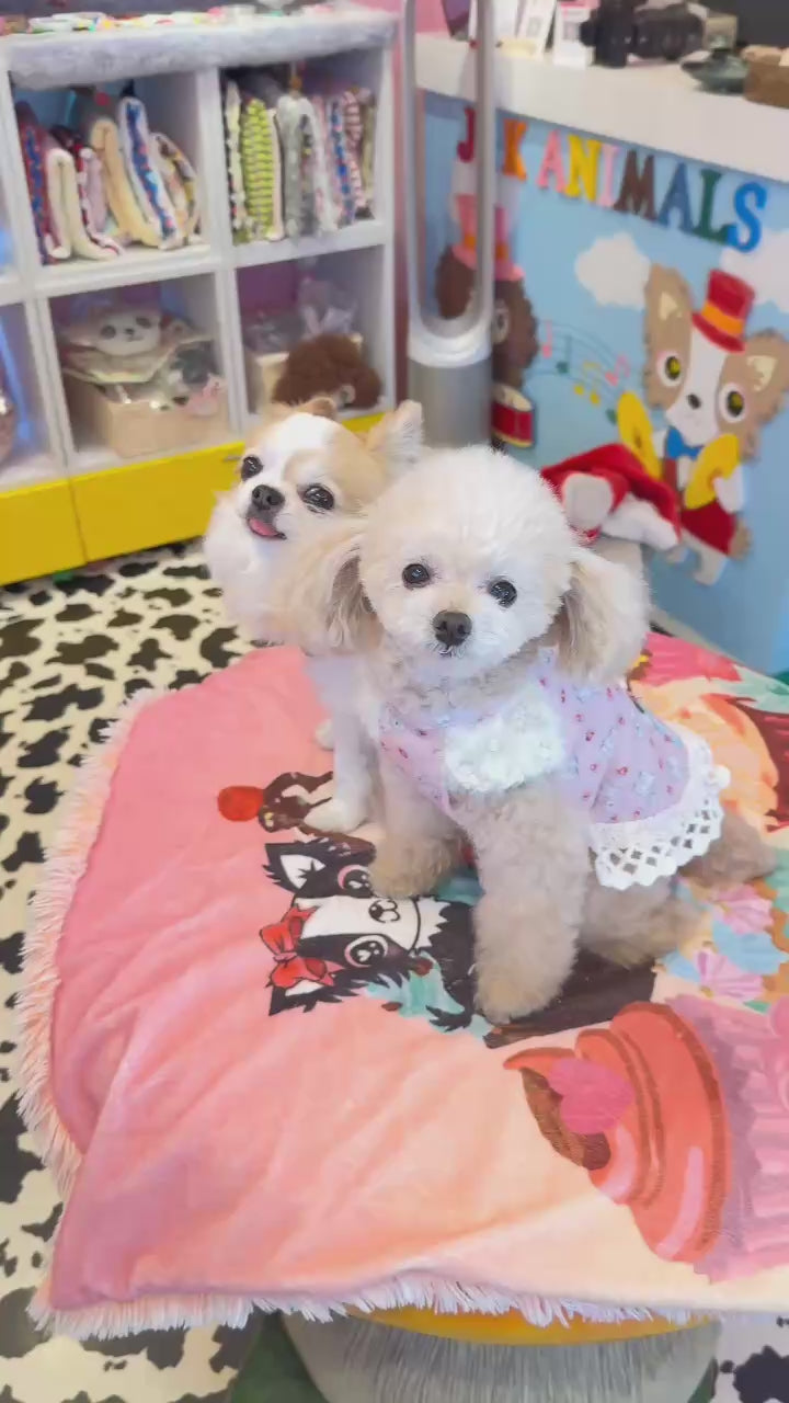 予約受付中☆ガーリー ワンピース☆ – J&Kanimals